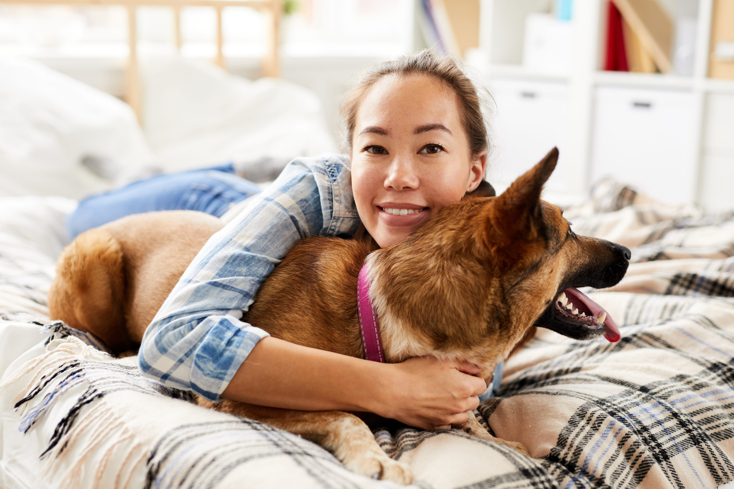 Portrait of smiling Asian woman hugging dog lying in bed at home and looking at camera