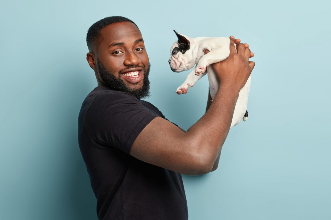 care after pet concept pleased black man with black and white french bulldog puppy