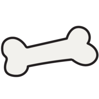 bone