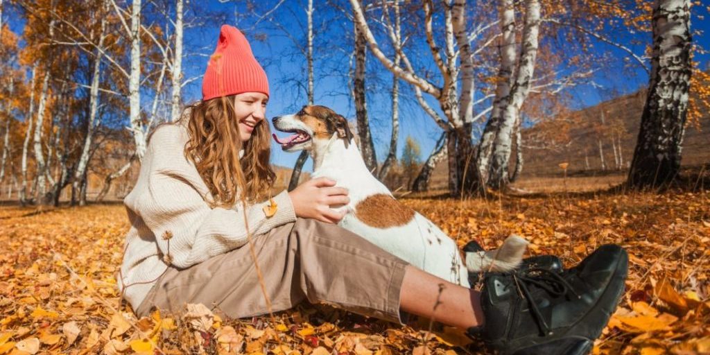 happy young woman with dog at the autumn park pretty teen girl outdoor at fall